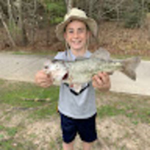 Meet your Posher, Bagging bass